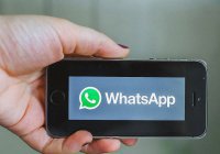 Пользователи WhatsApp смогут следить за своими друзьями