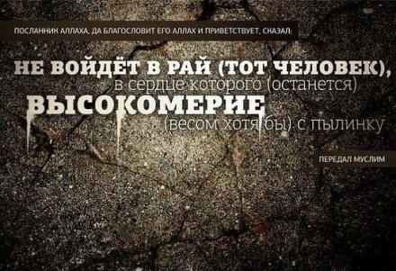 Как обращаться с высокомерными людьми? - Vimarsana News