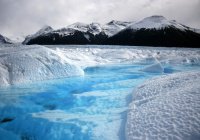 В Арктике найдено рекордное количество микропластика 