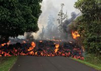 После извержения вулкана на Гавайи обрушится кислотный дождь