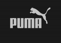 Бренд Puma сшил кроссовки из ёжика (ФОТО)