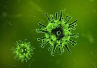 Ученые из России предупреждают о росте смертоносного вируса