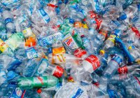 Автомобили будут заправлять пластиковым мусором