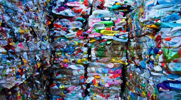 При этом производителя 40% найденного активистами пластика установить не удалось