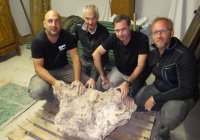 Метеорит весом в полтонны найден во Франции (ФОТО)