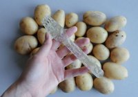 Студент из Швеции сделал «пластик» из картофеля (ФОТО)