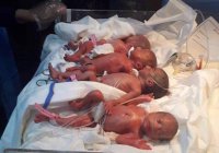 Семеро близнецов, родившихся в Ираке, погибли